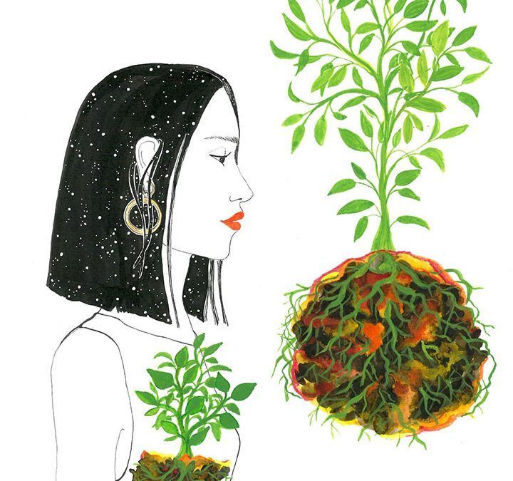 VERME CRECER