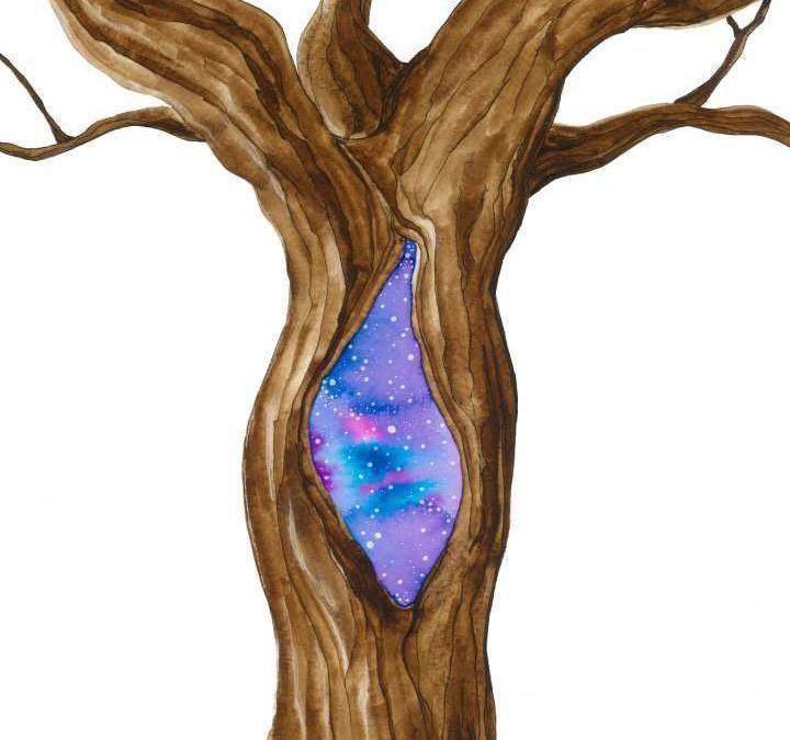 ÁRBOL UNIVERSO