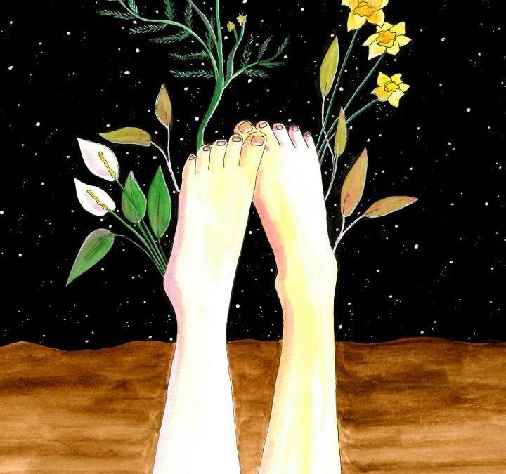 FLORECER